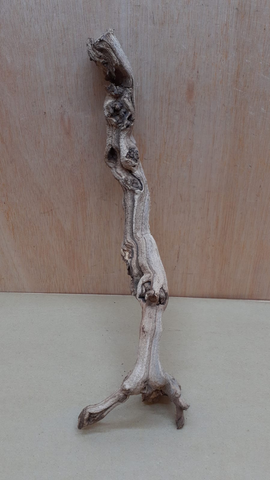 Sandblasted Grapevine - Small 4