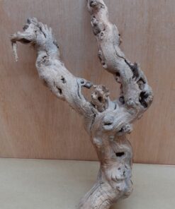 Sandblasted Grapevine - Small 5