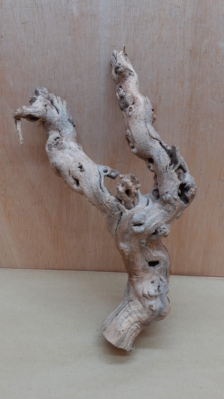 Sandblasted Grapevine - Small 5