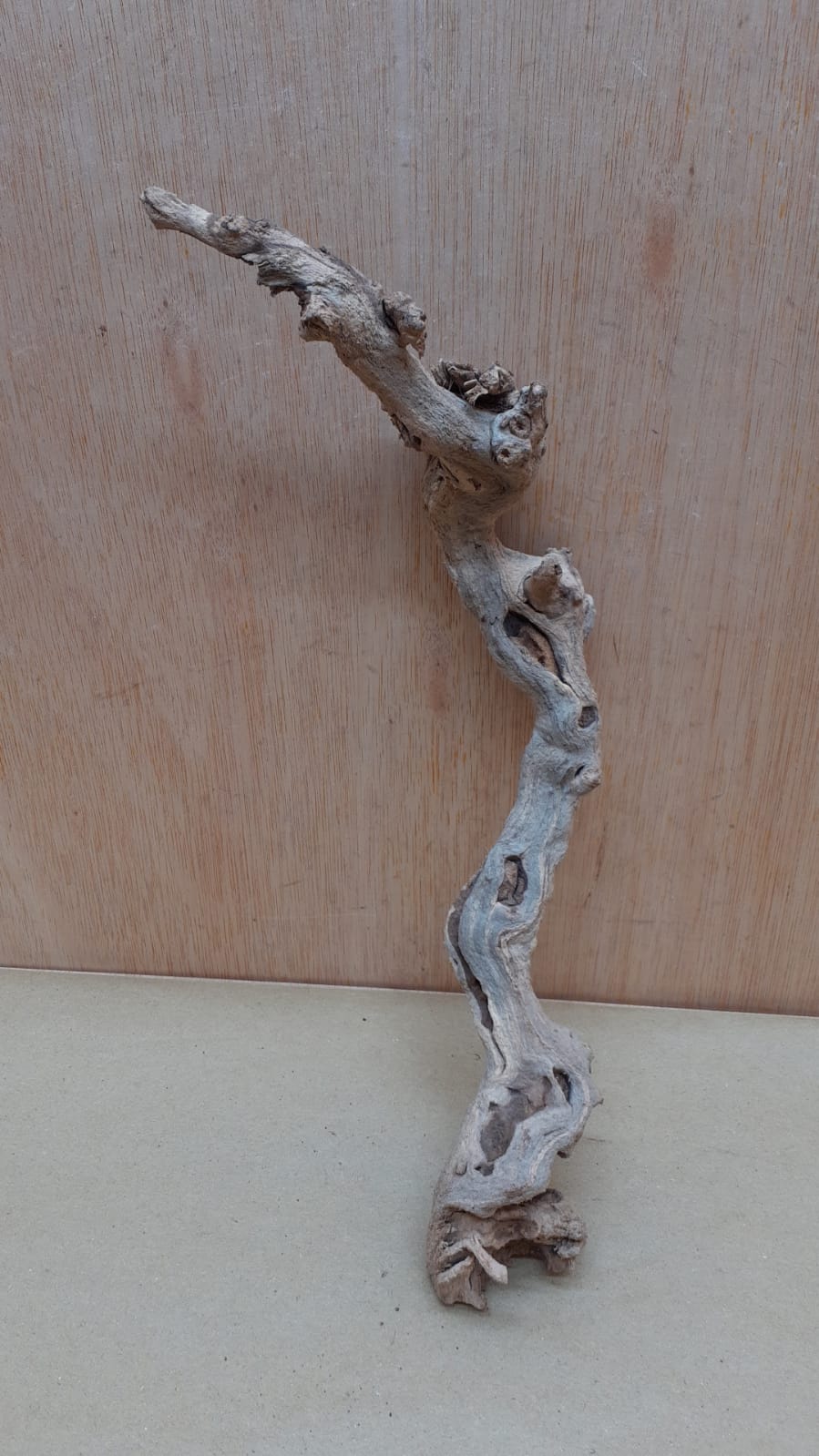 Sandblasted Grapevine - Small 8