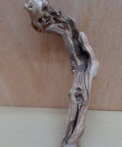 Sandblasted Grapevine - Small 11