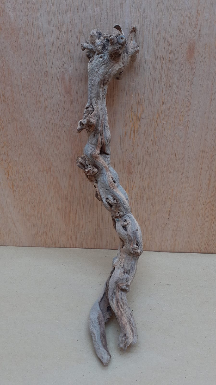 Sandblasted Grapevine - Small 13