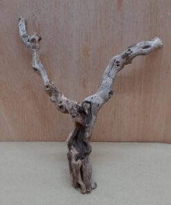 Sandblasted Grapevine - Small 18