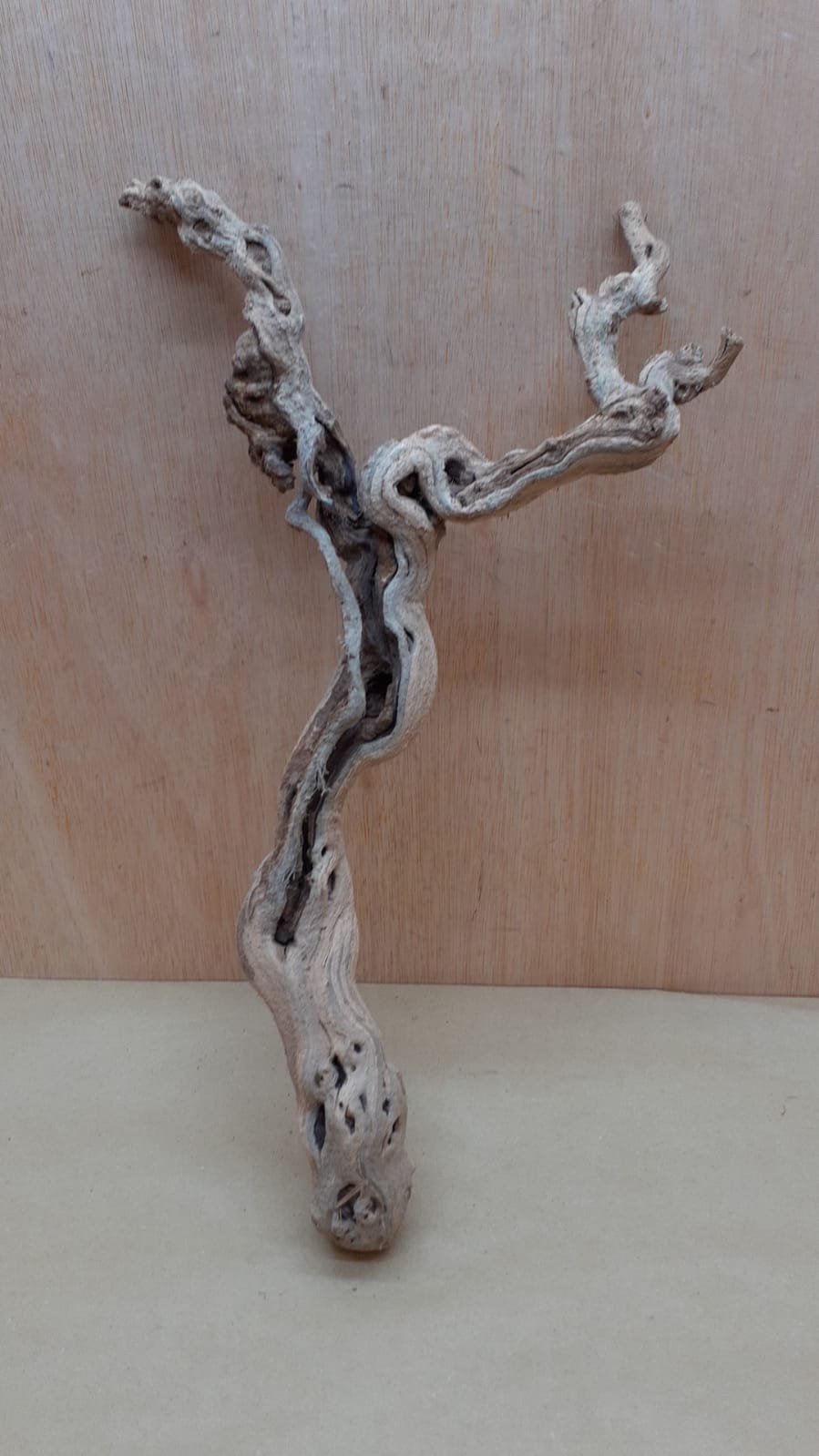Sandblasted Grapevine - Medium 2