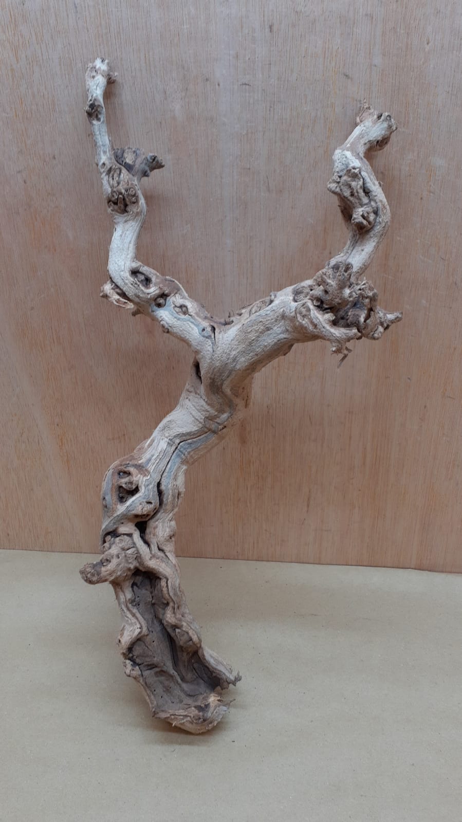 Sandblasted Grapevine - Medium 3