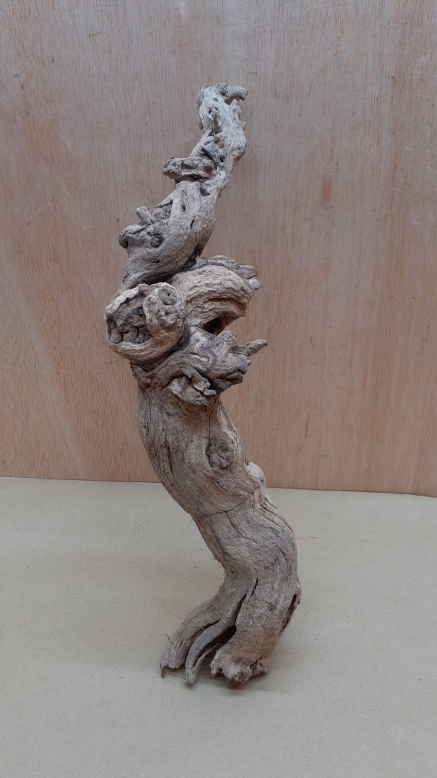 Sandblasted Grapevine - Medium 6