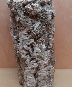 Large Cork Tube - 40-60cm - 2