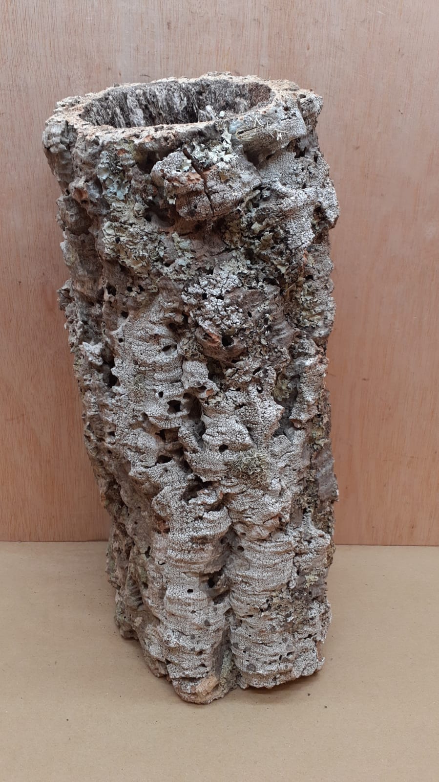Large Cork Tube - 40-60cm - 2
