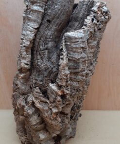 Large Cork Tube - 40-60cm - 4