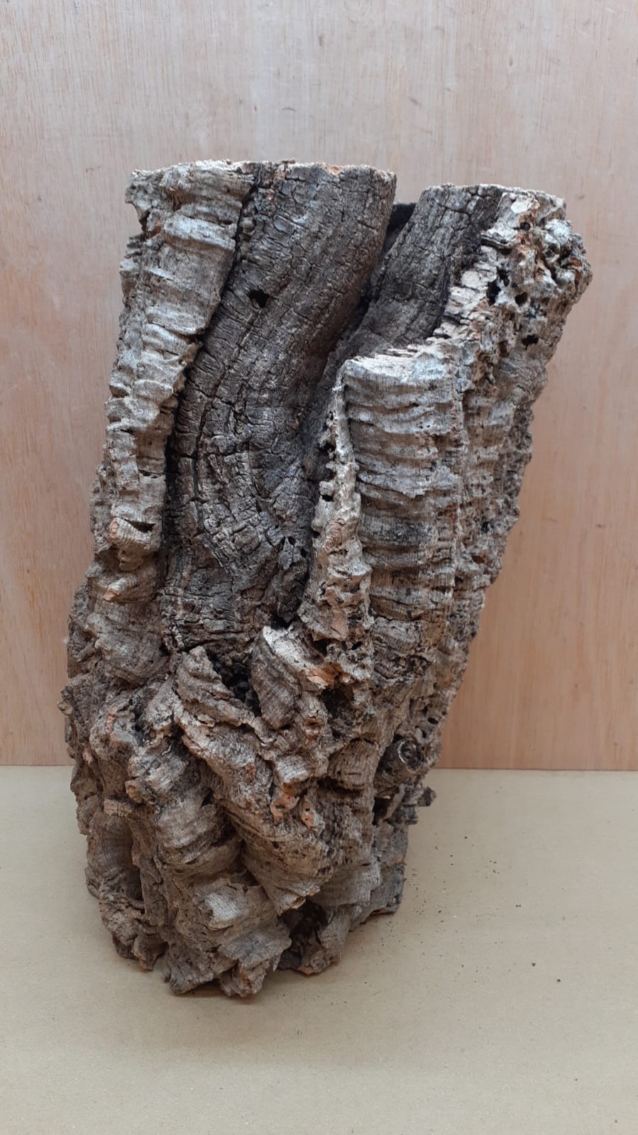 Large Cork Tube - 40-60cm - 4