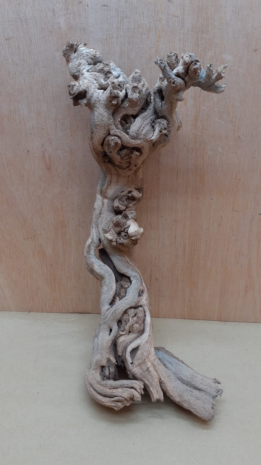 Sandblasted Grapevine - Medium 4