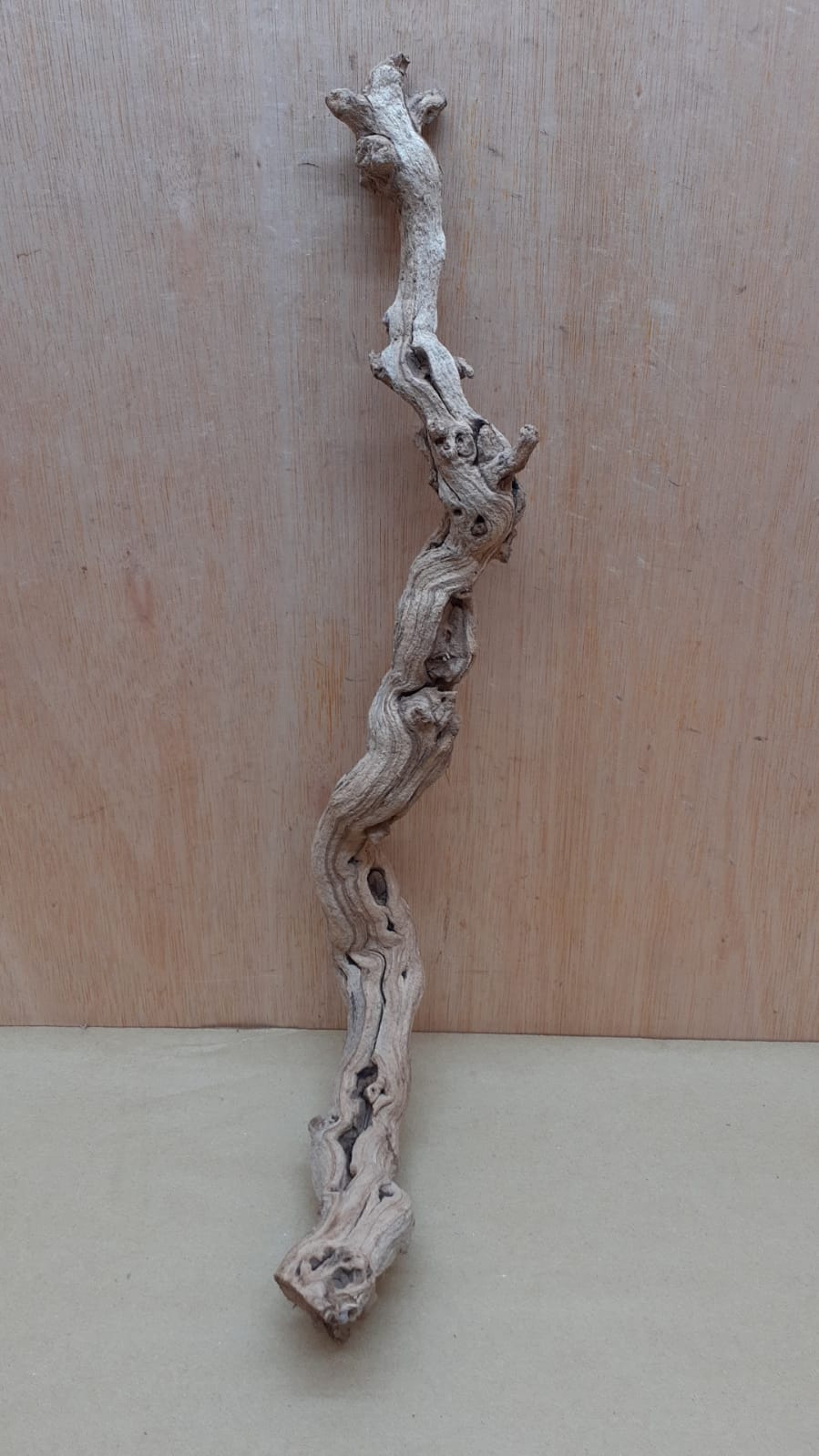 Sandblasted Grapevine - Medium 9