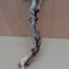 Sandblasted Grapevine - Medium 11