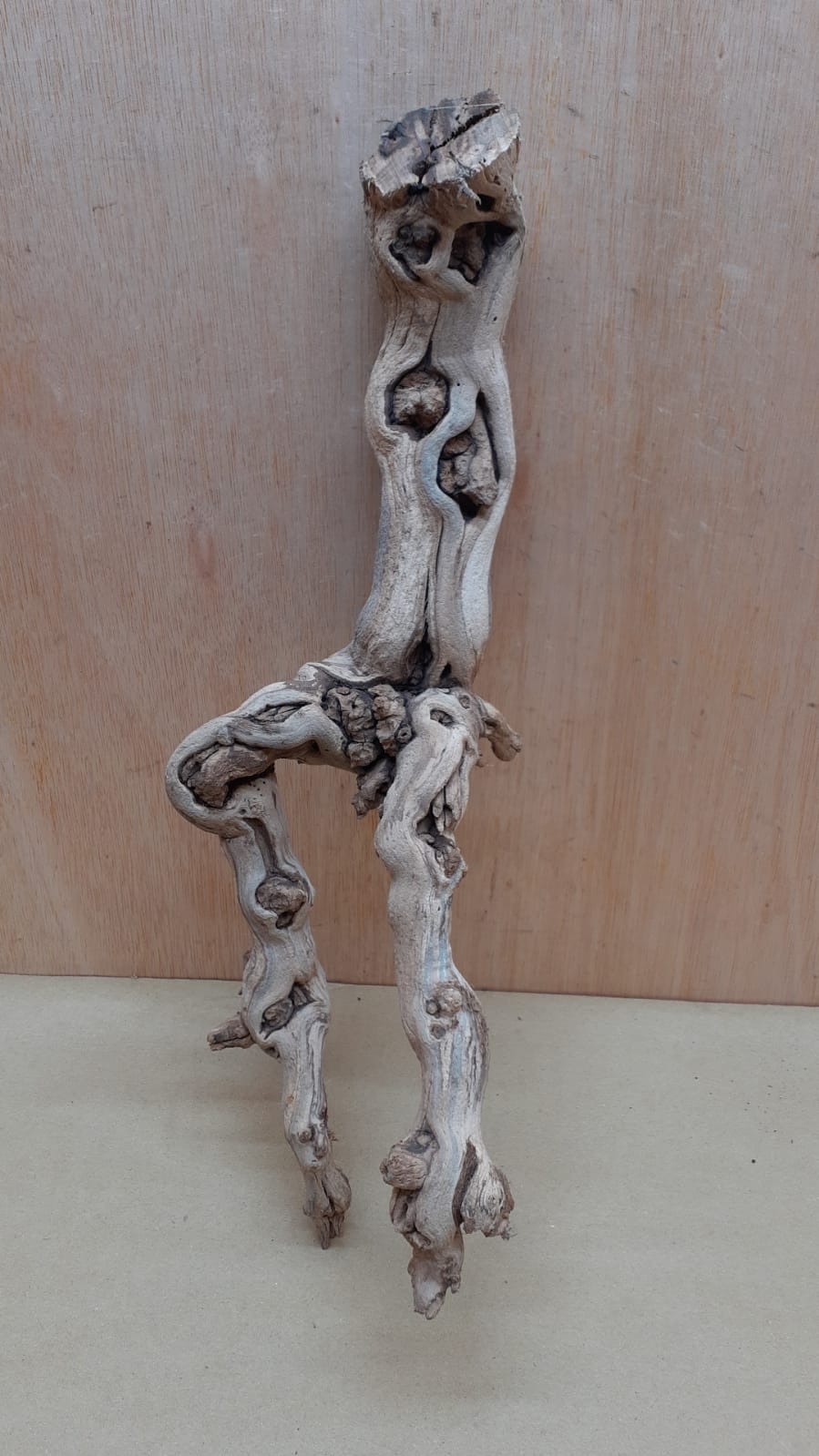 Sandblasted Grapevine - Medium 13