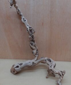 Sandblasted Grapevine - Medium 15