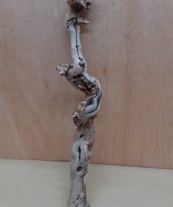 Sandblasted Grapevine - Medium 17