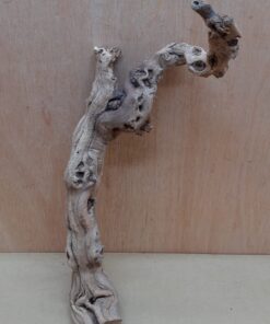 Sandblasted Grapevine - Medium 20