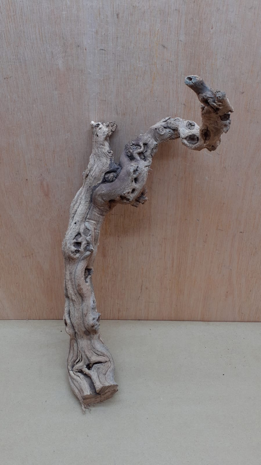 Sandblasted Grapevine - Medium 20
