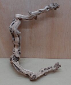 Sandblasted Grapevine - Small 9