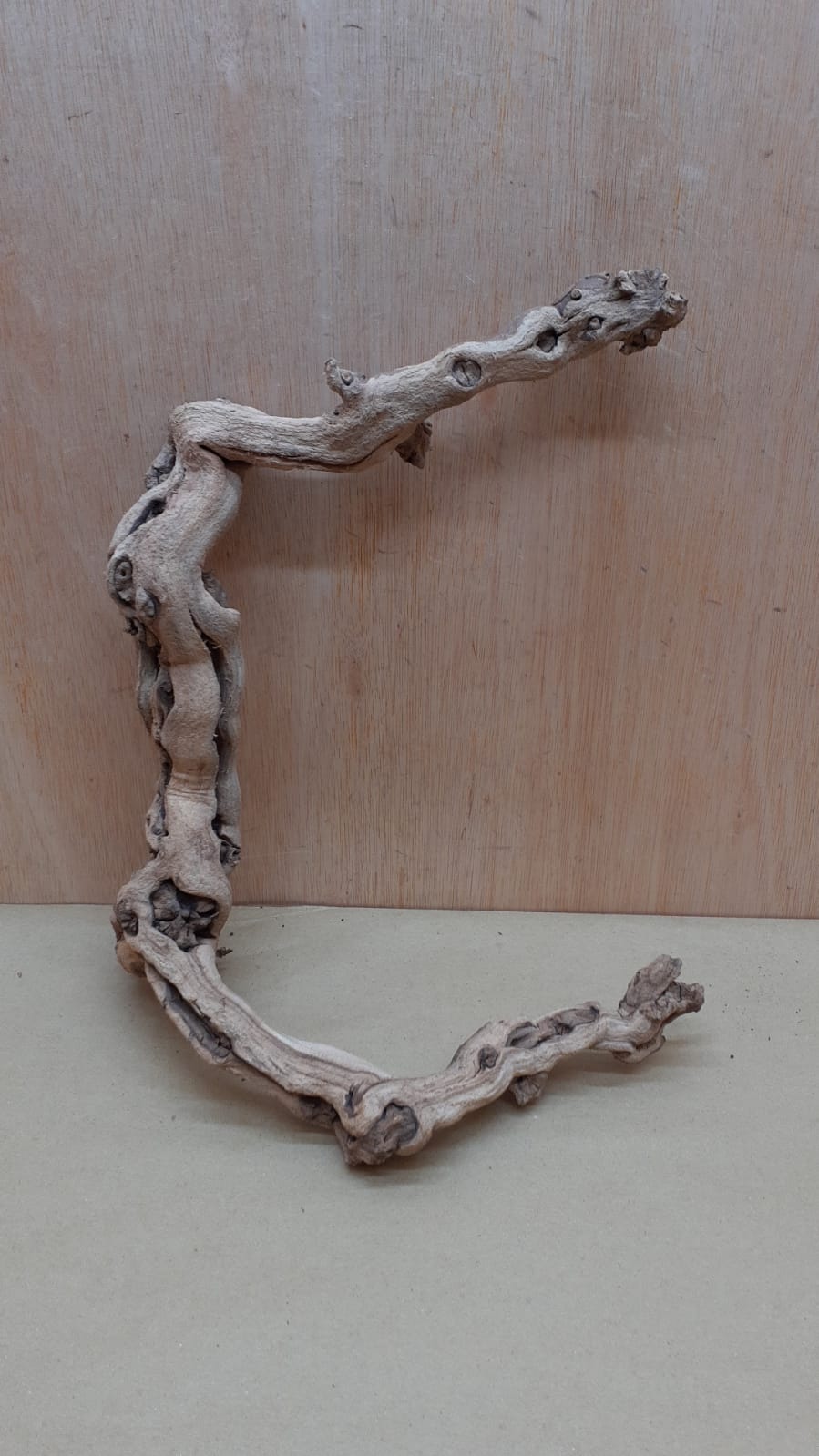 Sandblasted Grapevine - Small 9