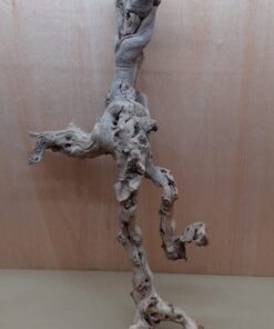 Sandblasted Grapevine - XL 3