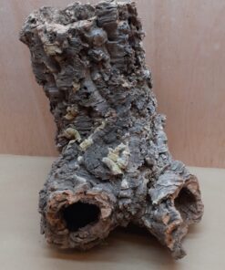 Large Cork Tube - 40-60cm - 8