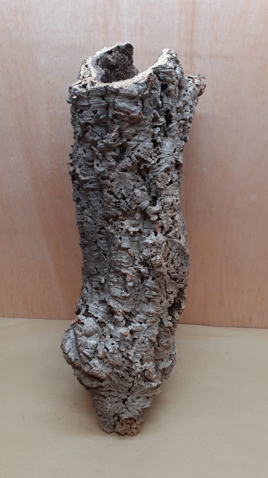 Medium Cork Tube - 60-80cm - 11