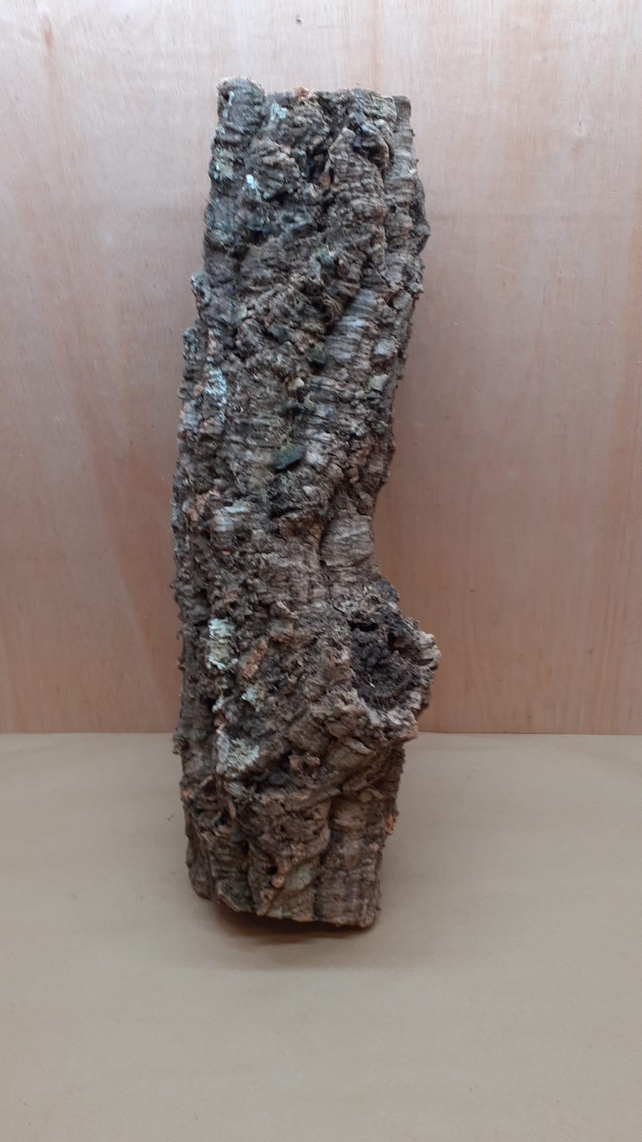 Medium Cork Tube - 60-80cm - 16