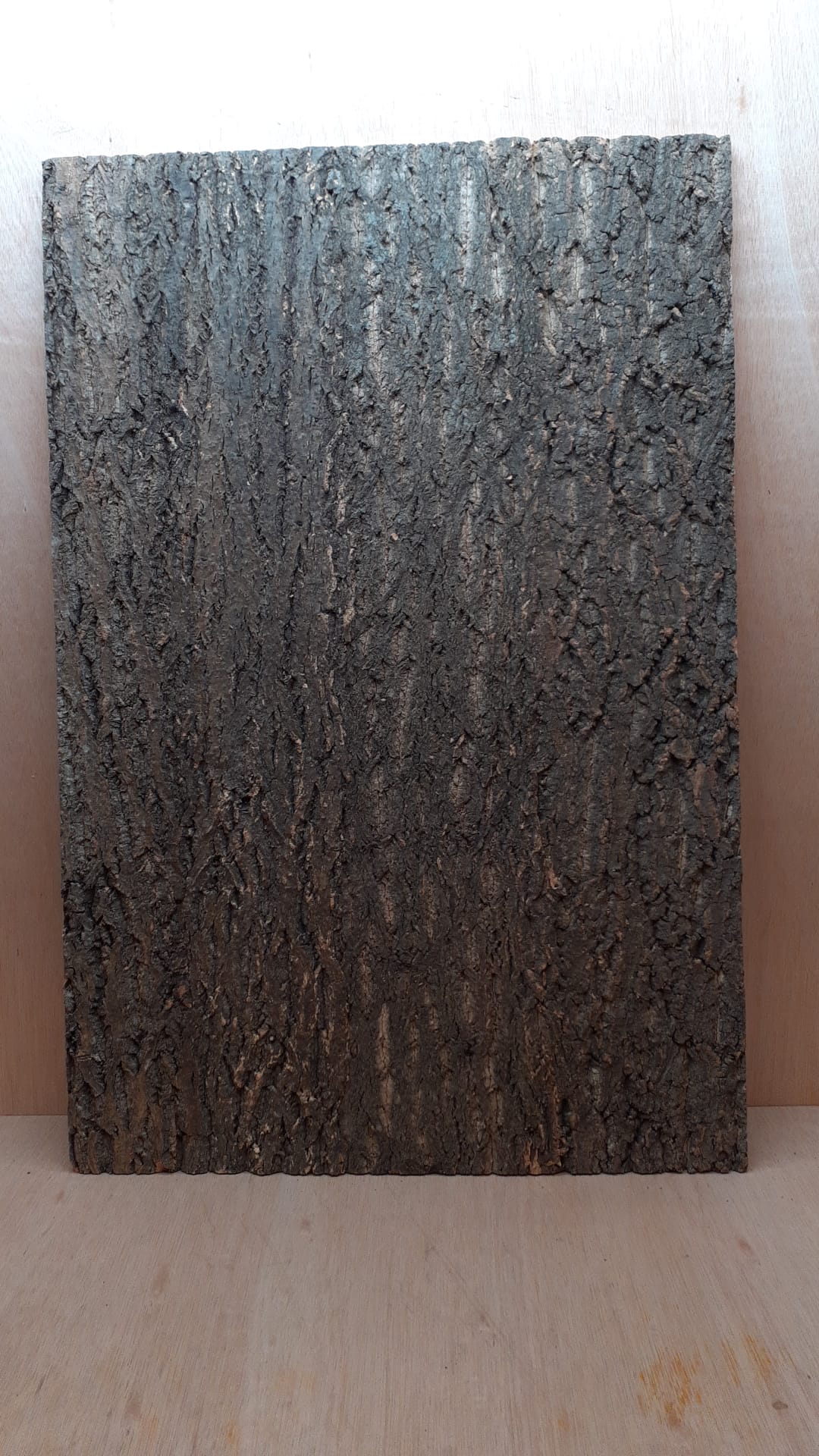 Cork Bark Background Panel 90x60cm - 3