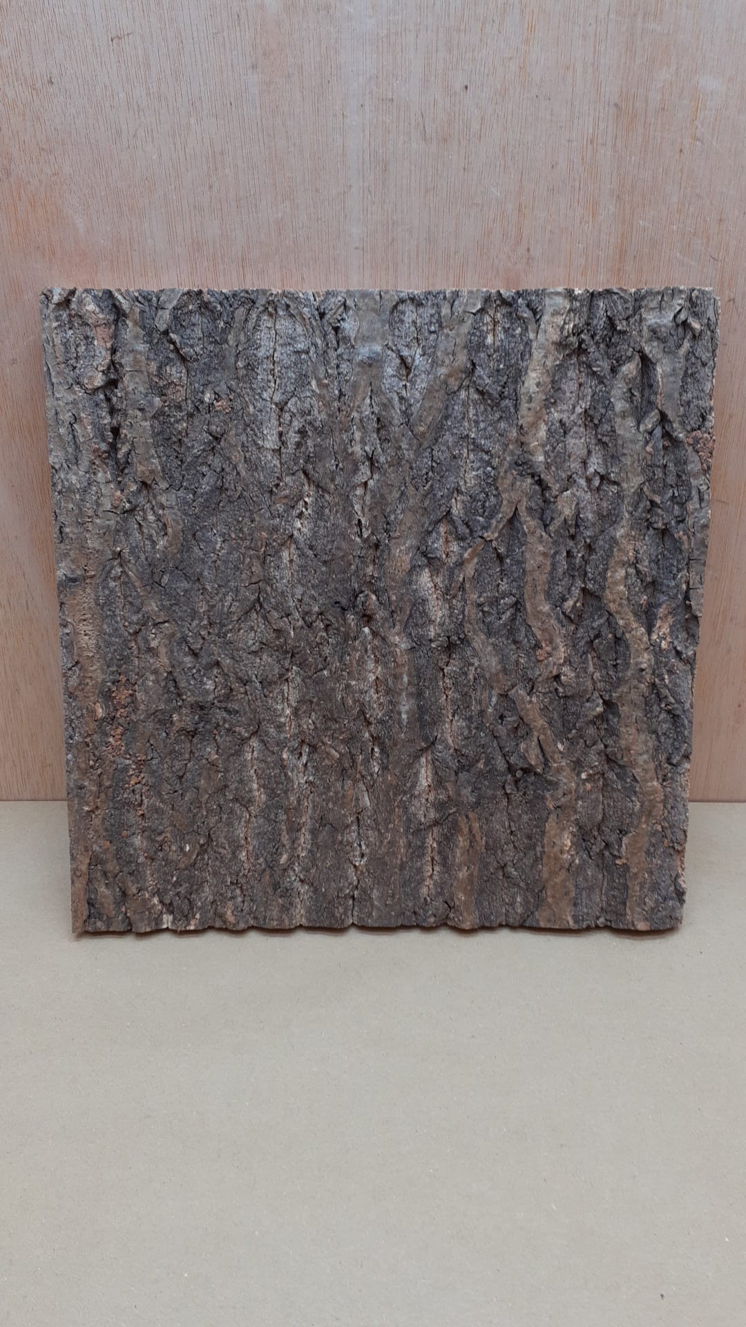 Cork Bark Background Panel 30x30cm - 1