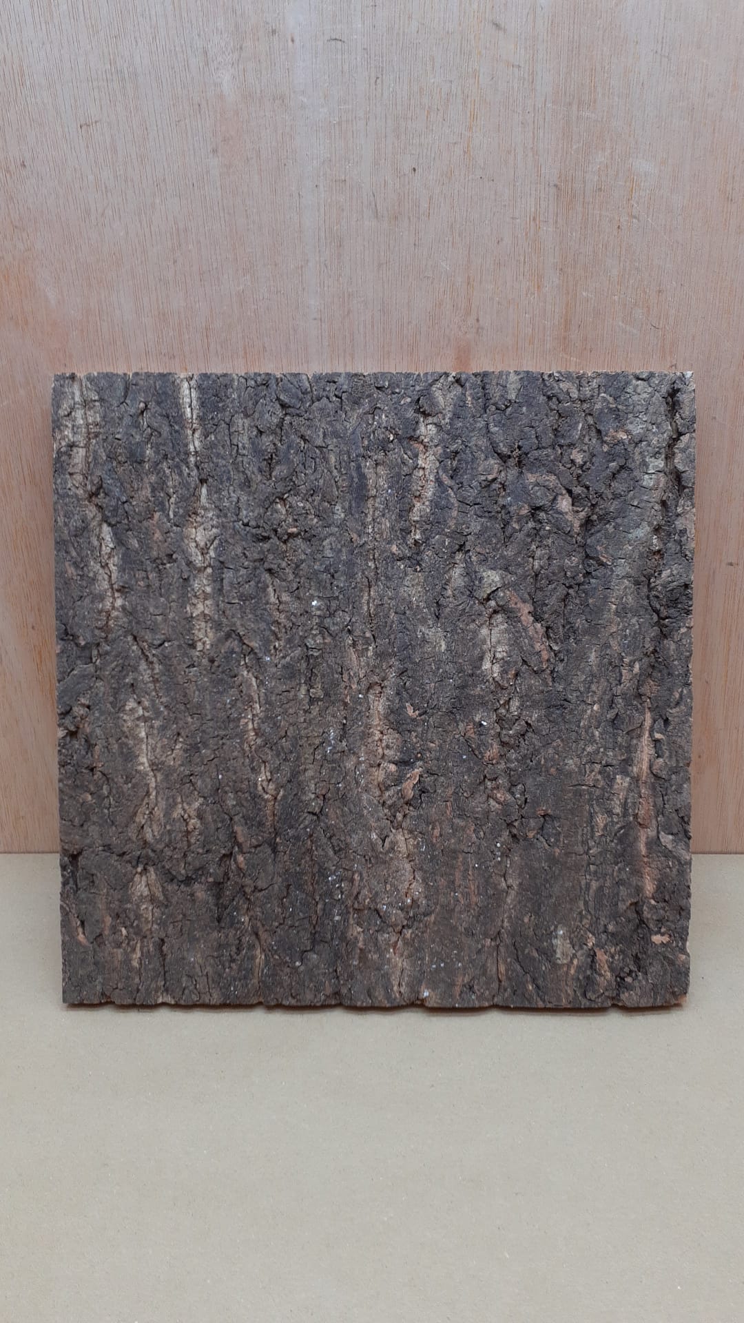 Cork Bark Background Panel 30x30cm - 2