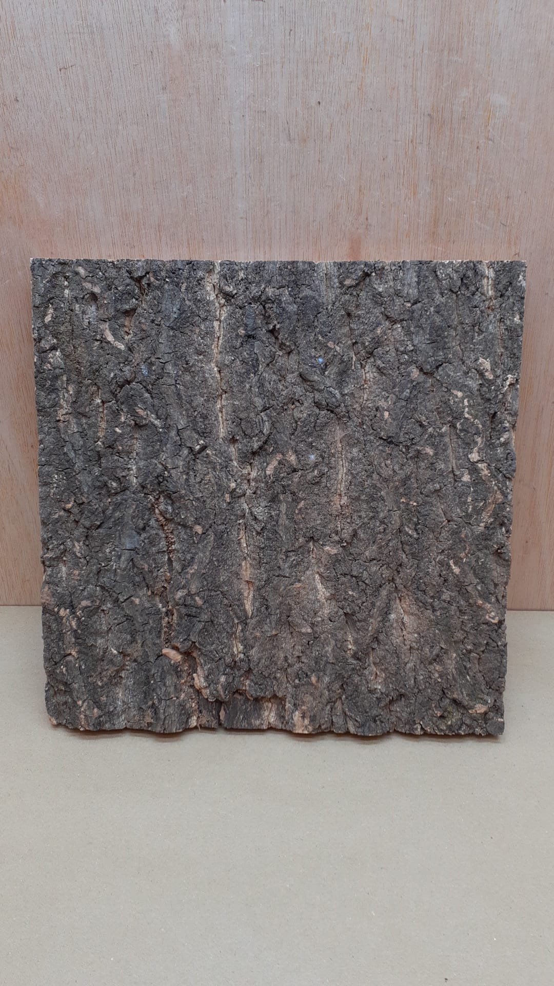 Cork Bark Background Panel 30x30cm - 8