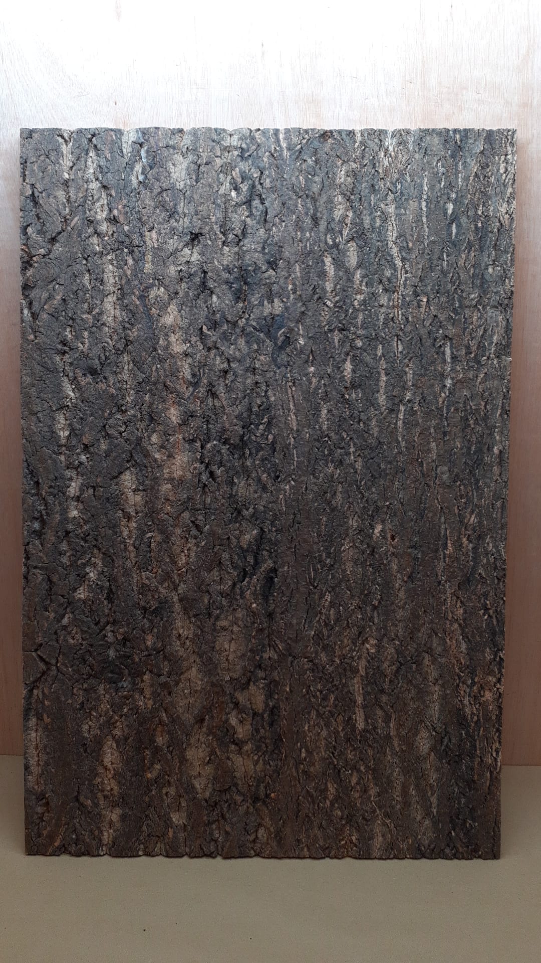 Cork Bark Background Panel 90x60cm - 1