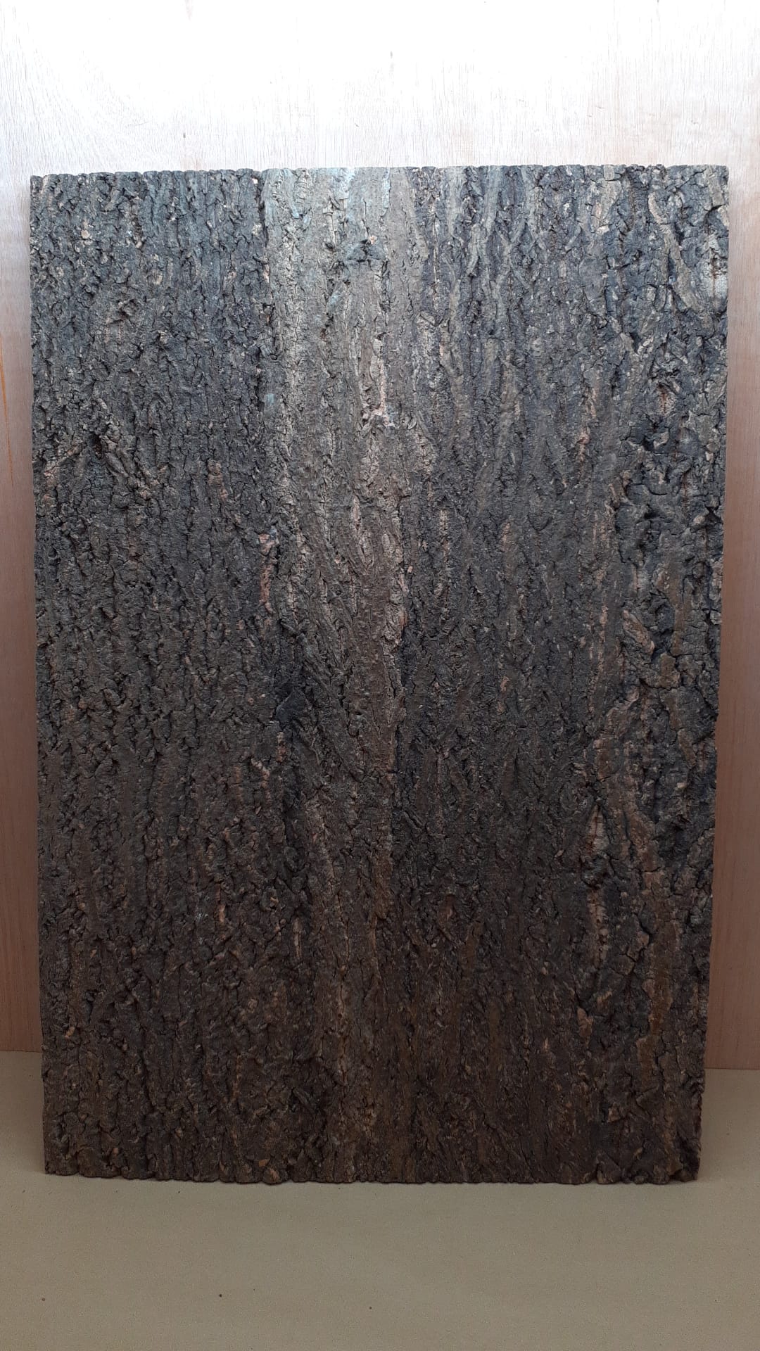 Cork Bark Background Panel 90x60cm - 4