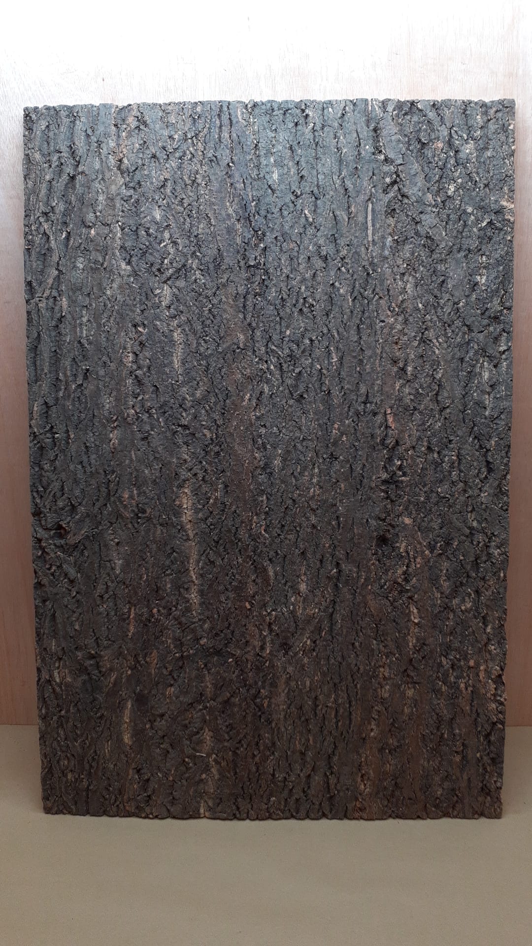 Cork Bark Background Panel 90x60cm - 8