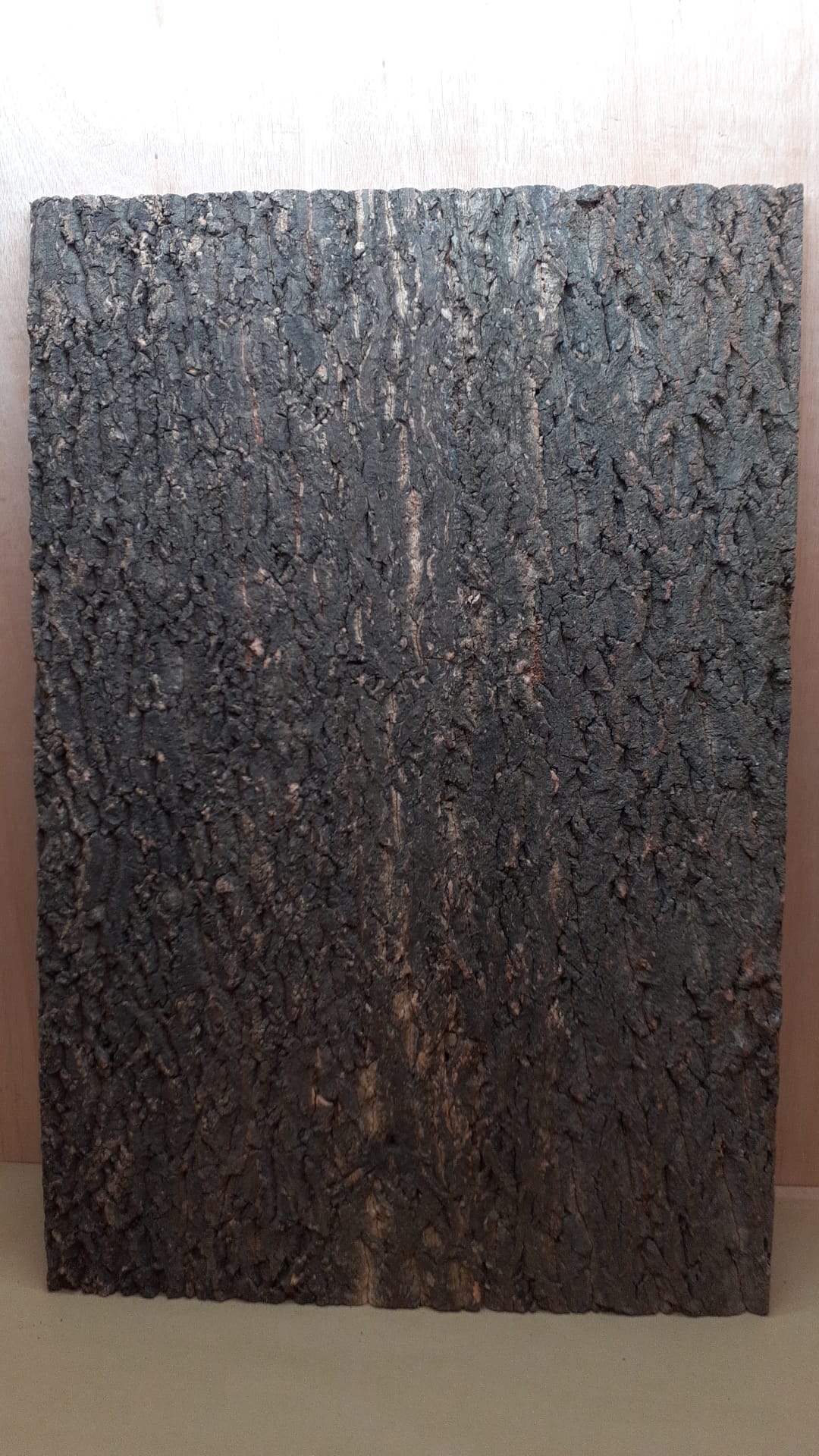 Cork Bark Background Panel 90x60cm - 9