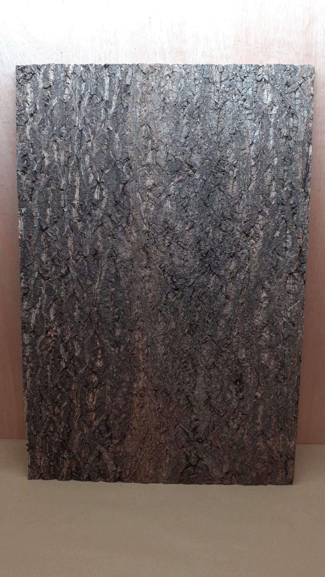 Cork Bark Background Panel 90x60cm - 10