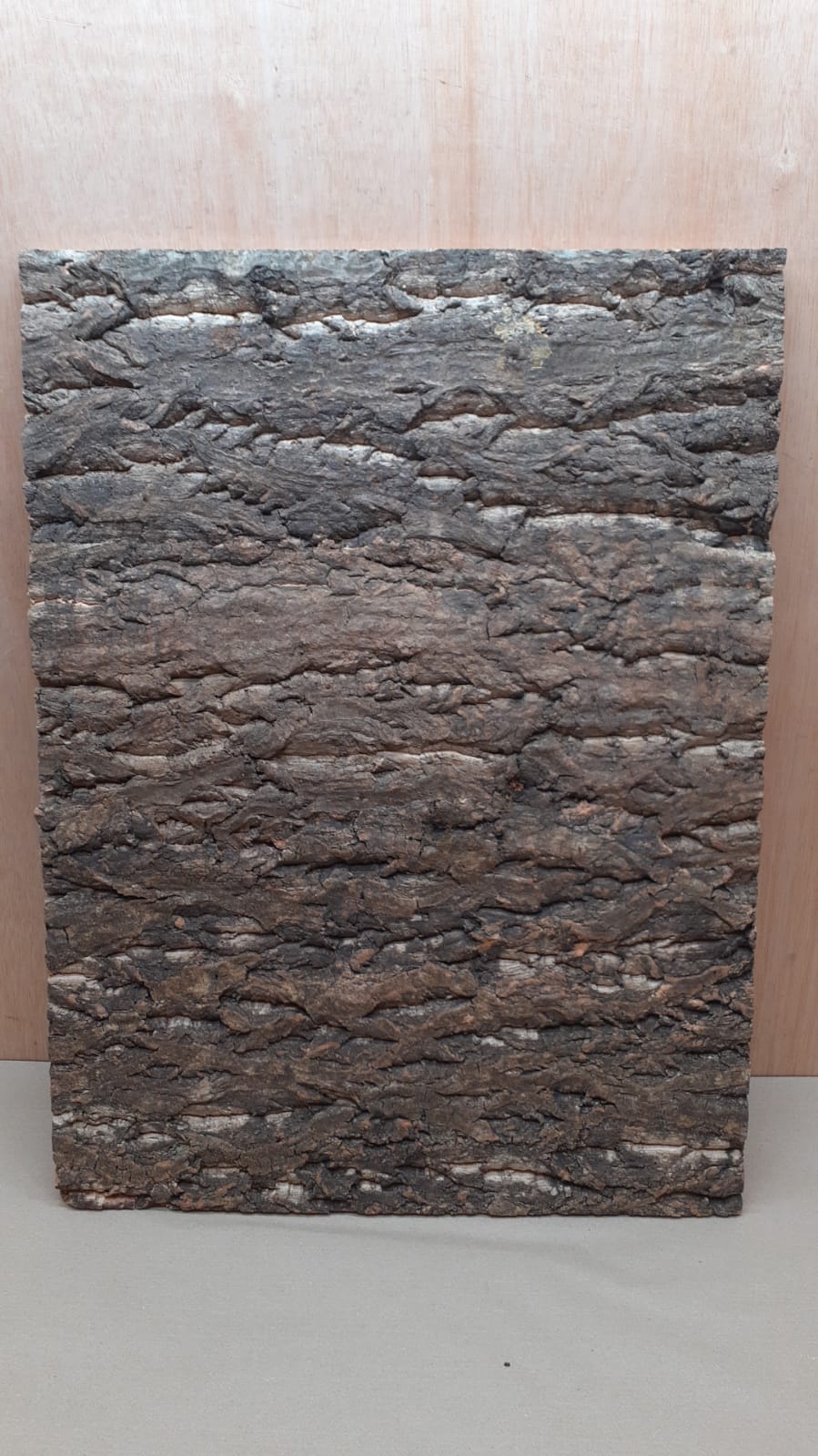 Cork Bark Background Panel 45x60cm - 1