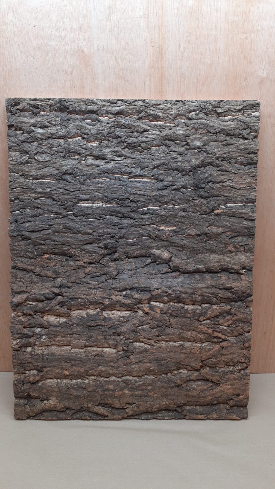 Cork Bark Background Panel 45x60cm - 2