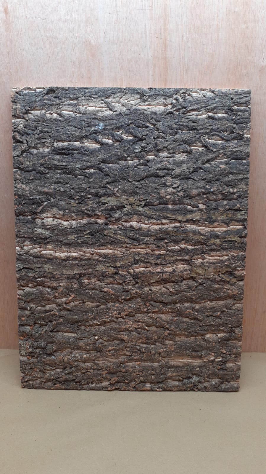 Cork Bark Background Panel 45x60cm - 6