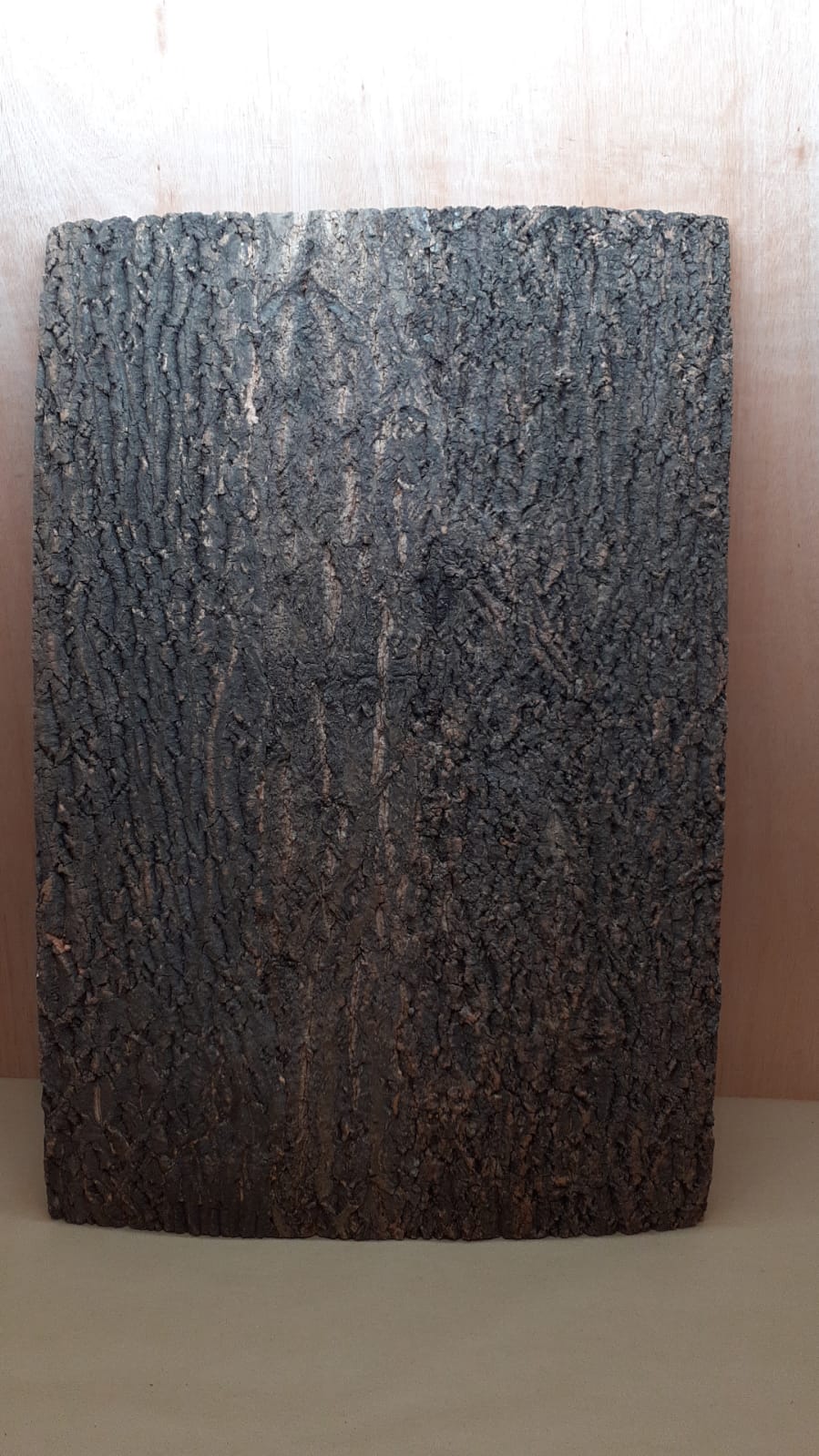 Cork Bark Background Panel 90x60cm - 5