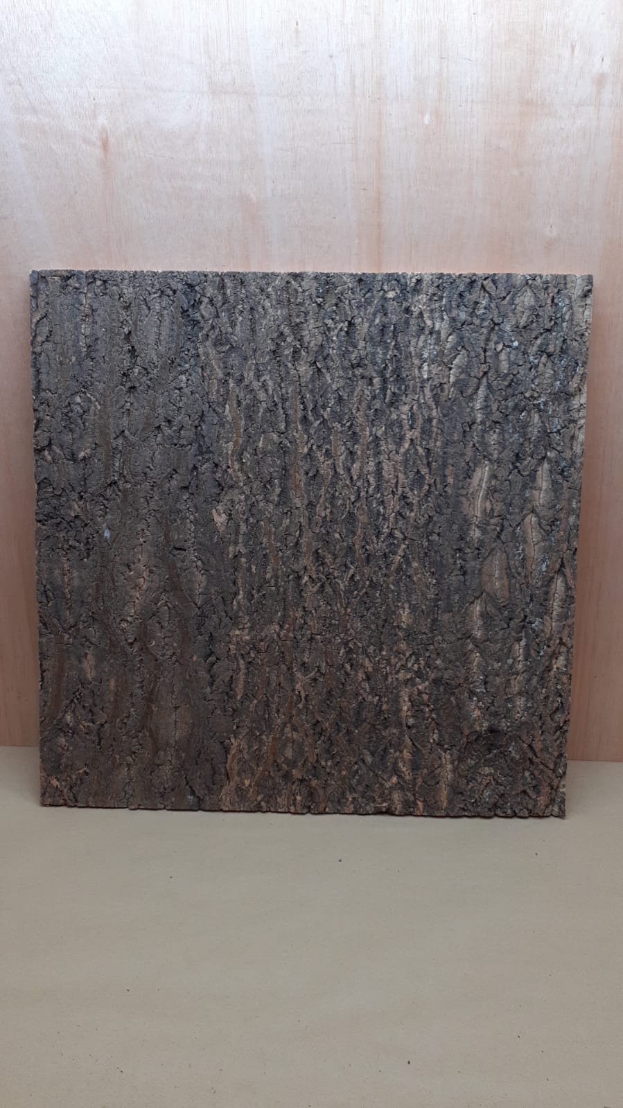 Cork Bark Background Panel 60x60cm - 5