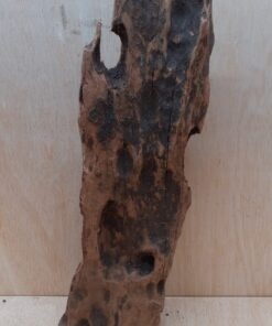 Driftwood - XL 5