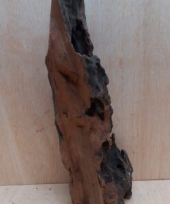 Driftwood - XL 10
