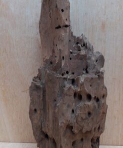 Driftwood - Large 8