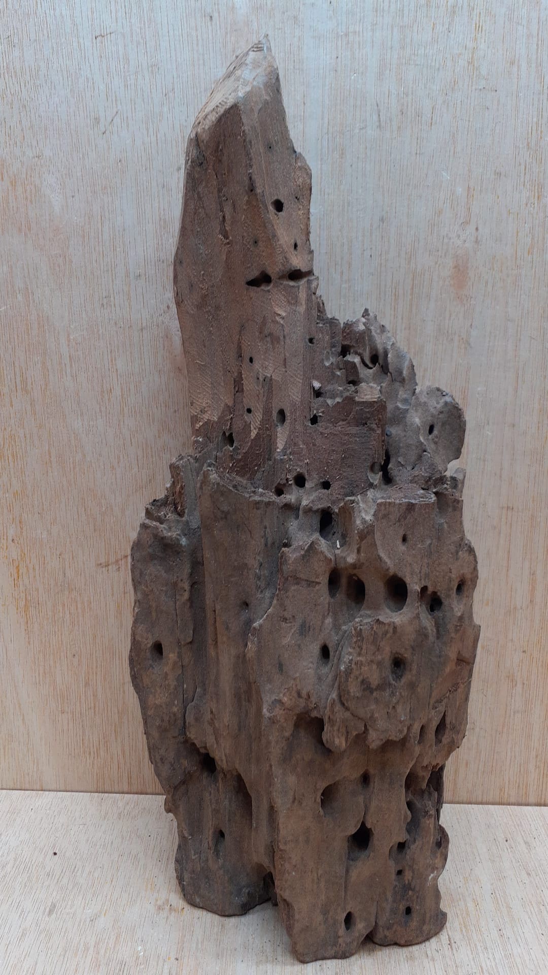 Driftwood - Large 8