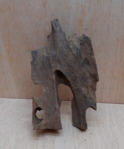 Driftwood - Small 9