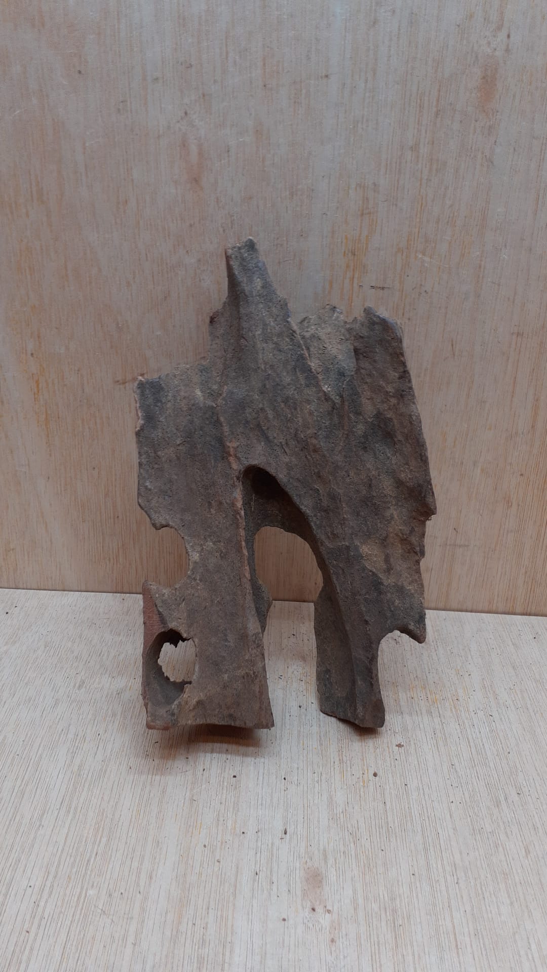 Driftwood - Small 9