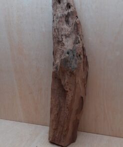 Driftwood - XL 14