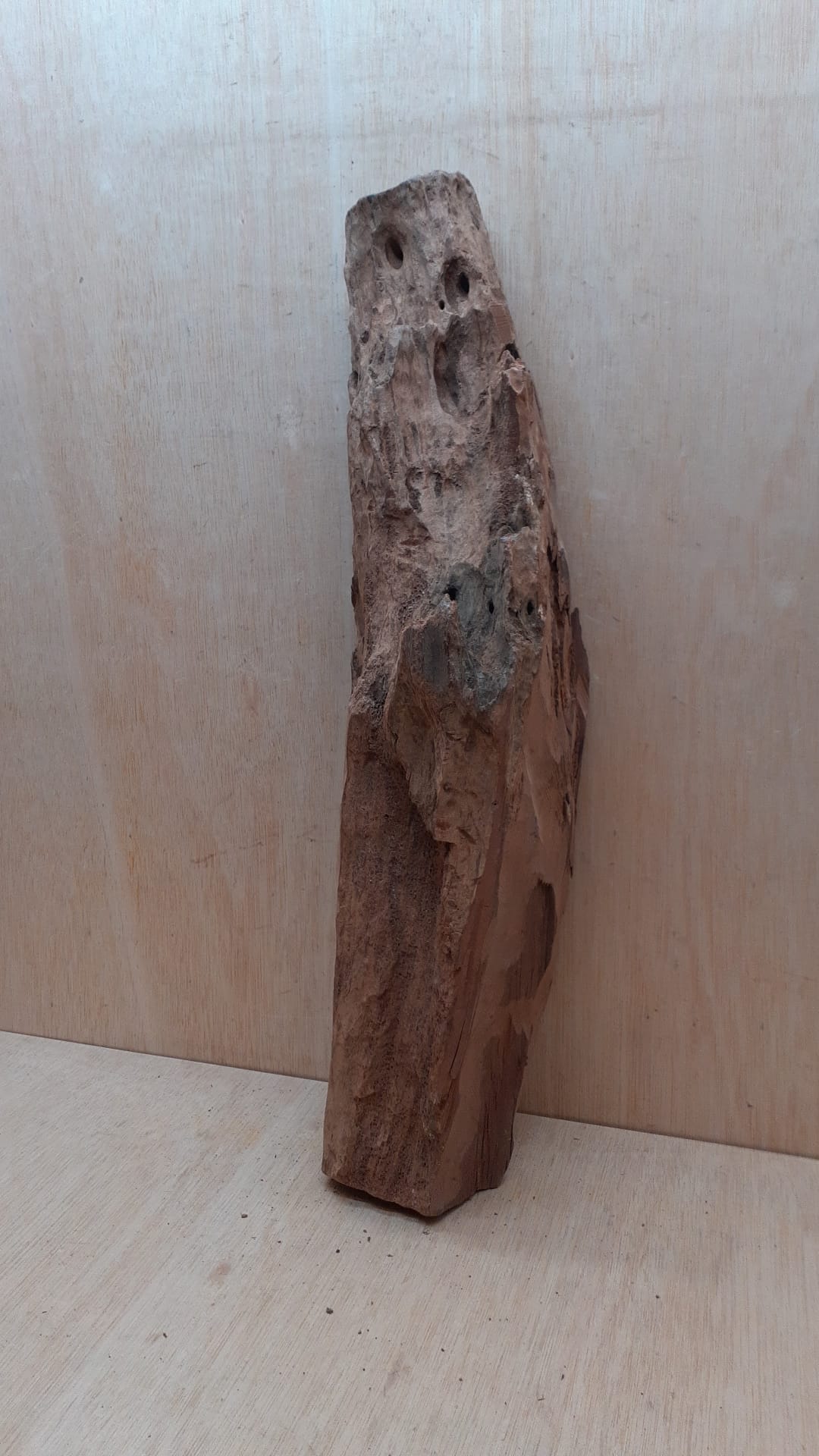 Driftwood - XL 14